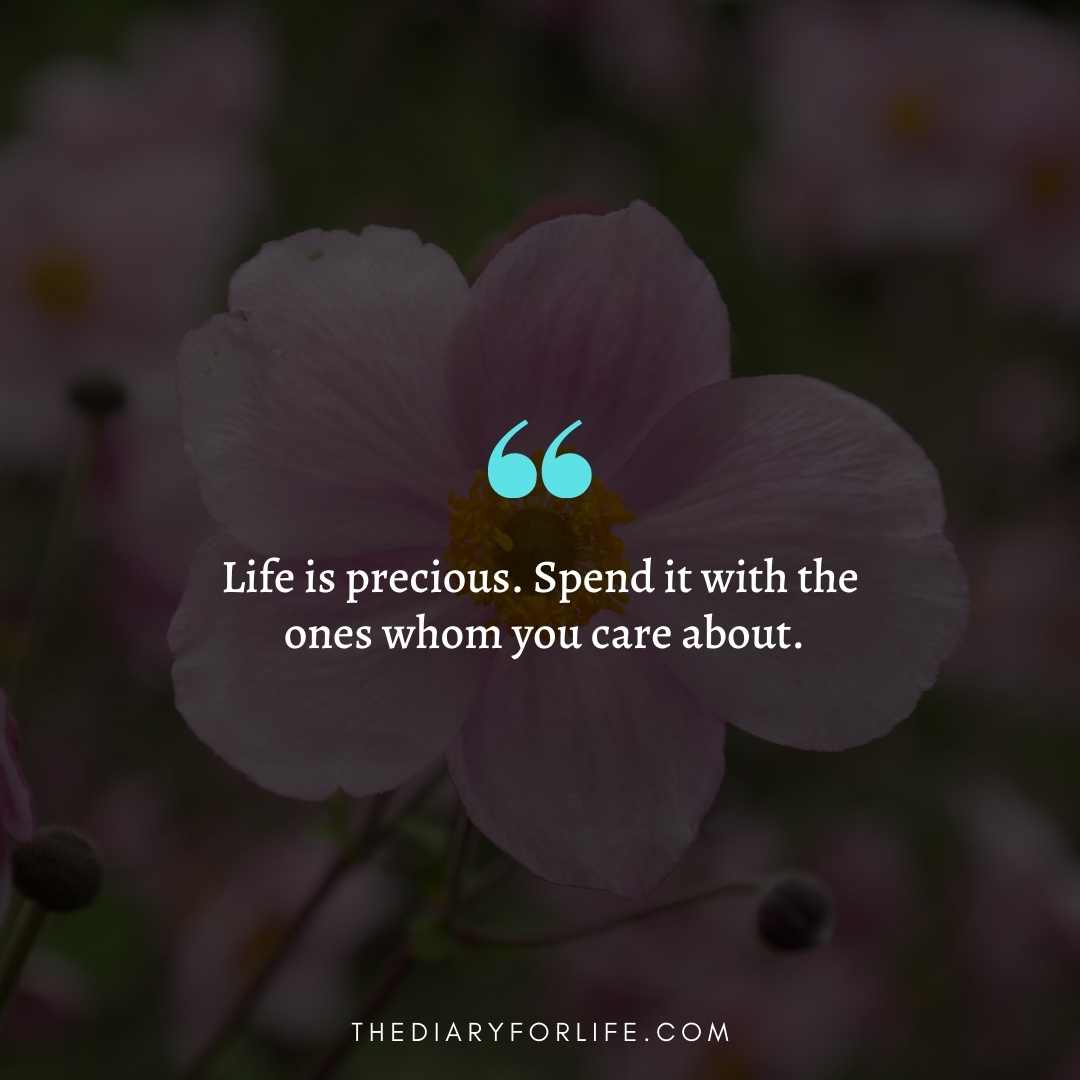 Life Is Precious Quotes To Celebrate Each Moment