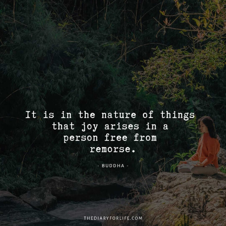 50+ Inspirational Buddha Quotes With Images