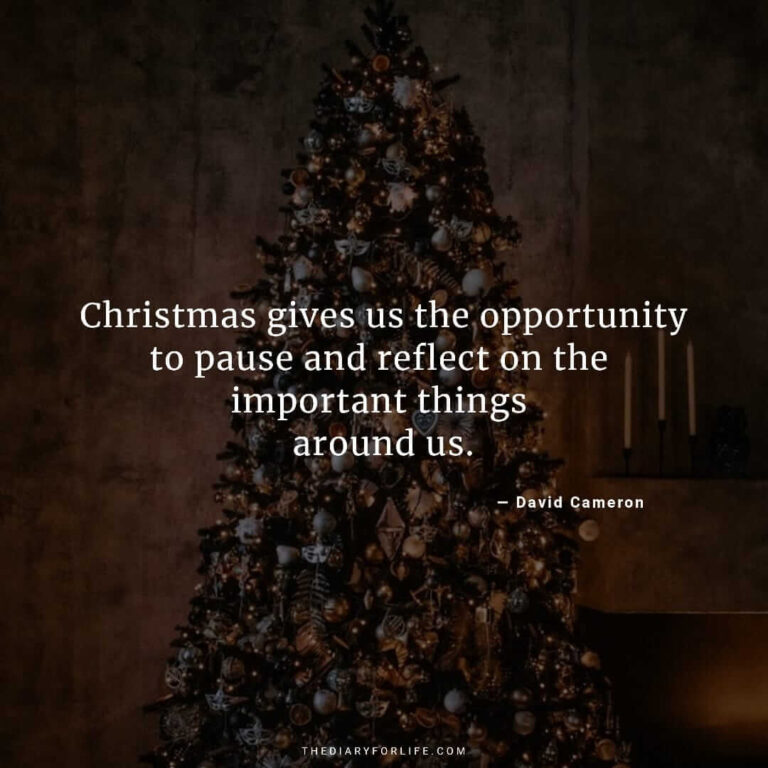 50+ Beautiful Merry Christmas Quotes And Images - Thediaryforlife