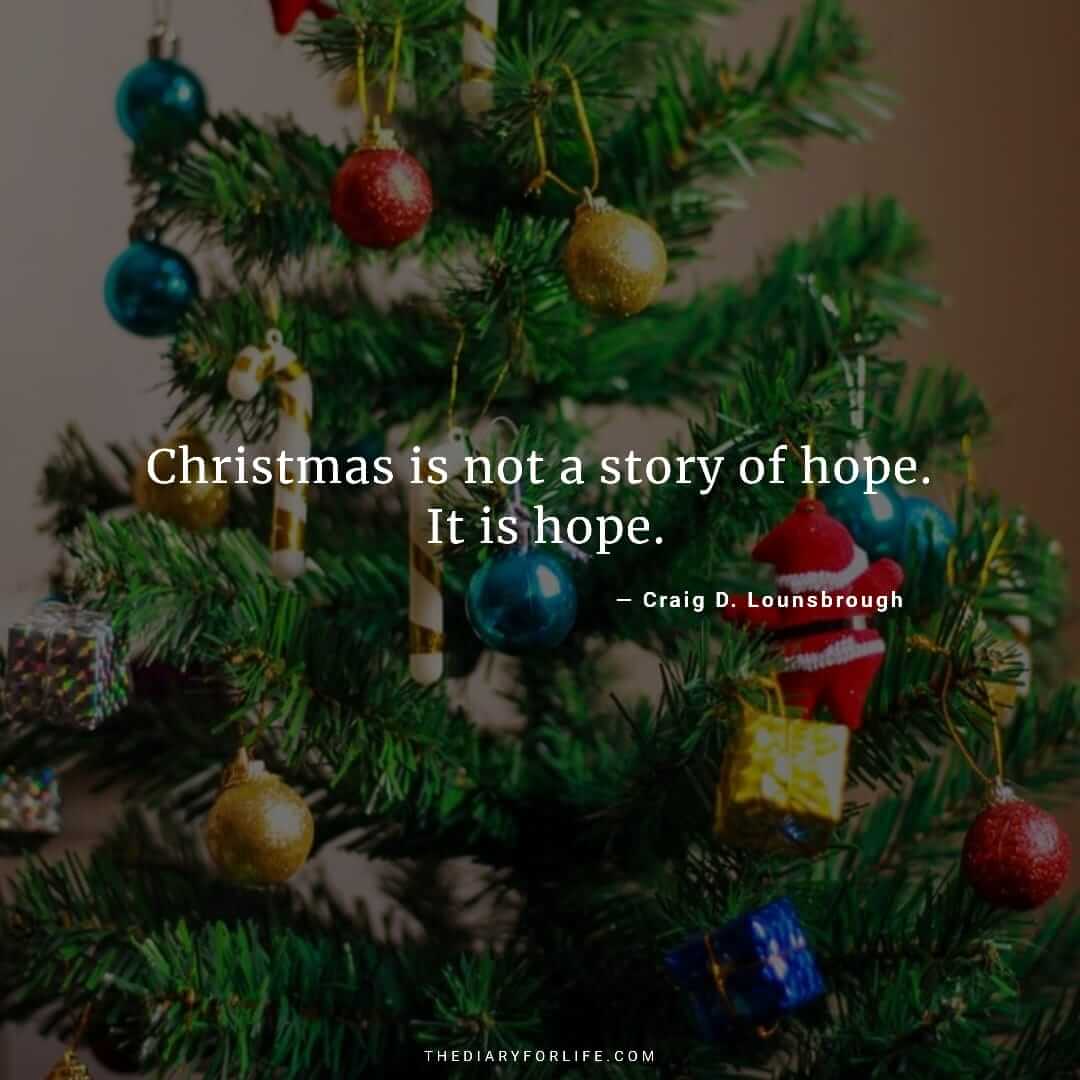 50+ Beautiful Merry Christmas Quotes And Images - ThediaryforLife