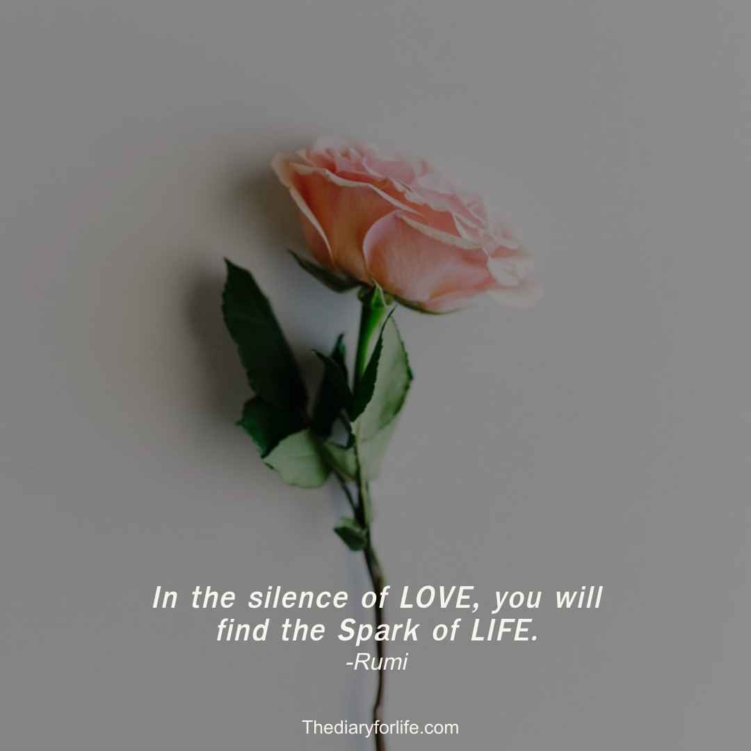 25+ Most Beautiful Rumi Quotes On Silence - ThediaryforLife