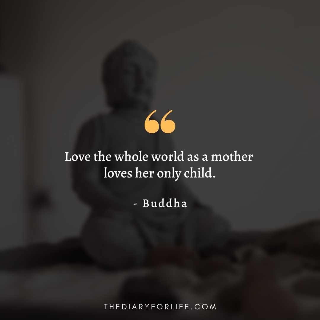 30+ Beautiful Buddha Quotes On Compassion - ThediaryforLife