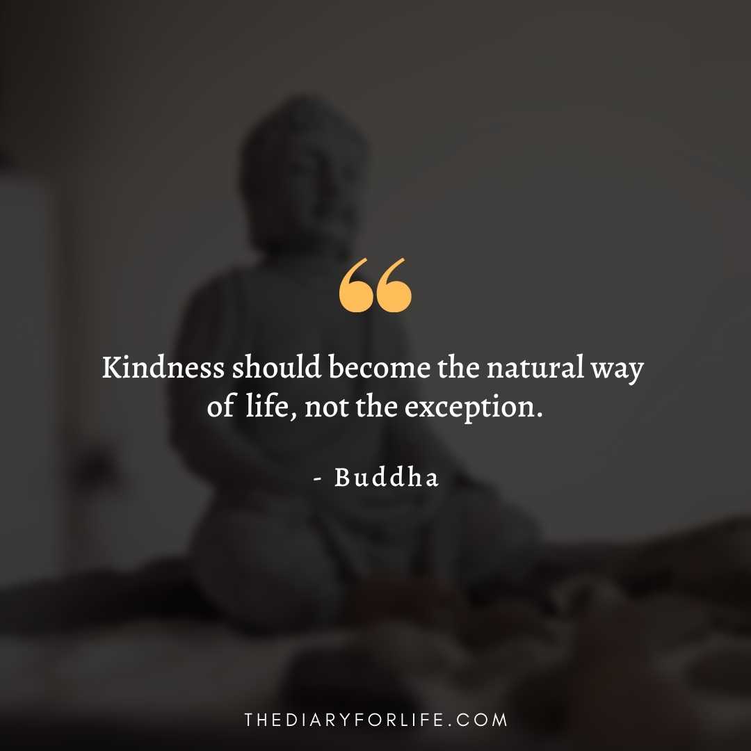 30+ Beautiful Buddha Quotes On Compassion - ThediaryforLife