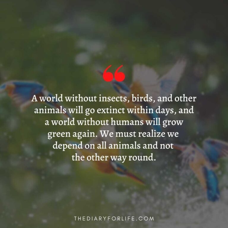 45+ Quotes About Animal Abuse To Stop Animal Cruelty