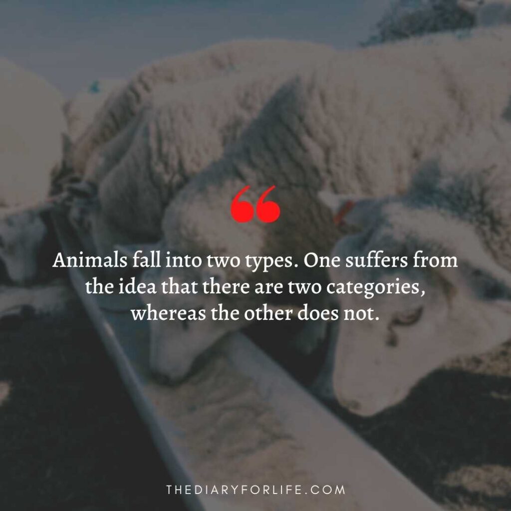 quotes about animal abuse