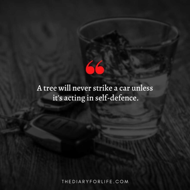 Quotes About Drinking And Driving To Stay Safe