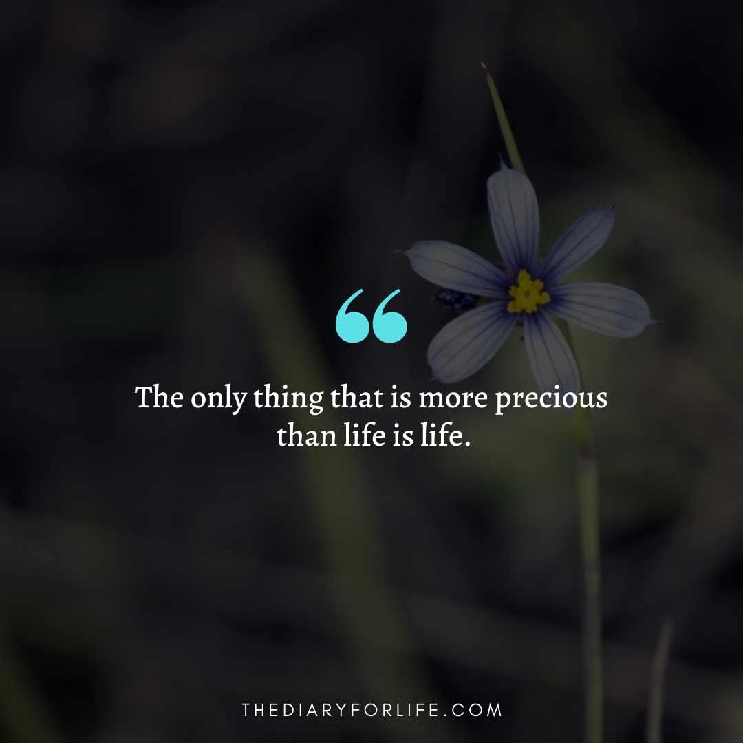 50-life-is-precious-quotes-to-celebrate-each-moment