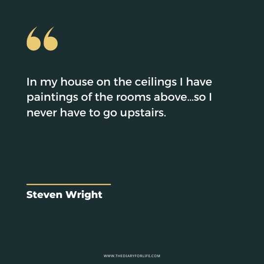 Funny And Motivational Quotes By Steven Wright