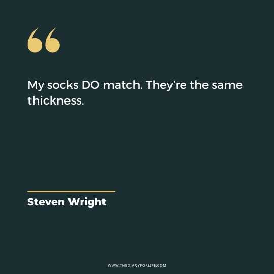 Funny And Motivational Quotes By Steven Wright