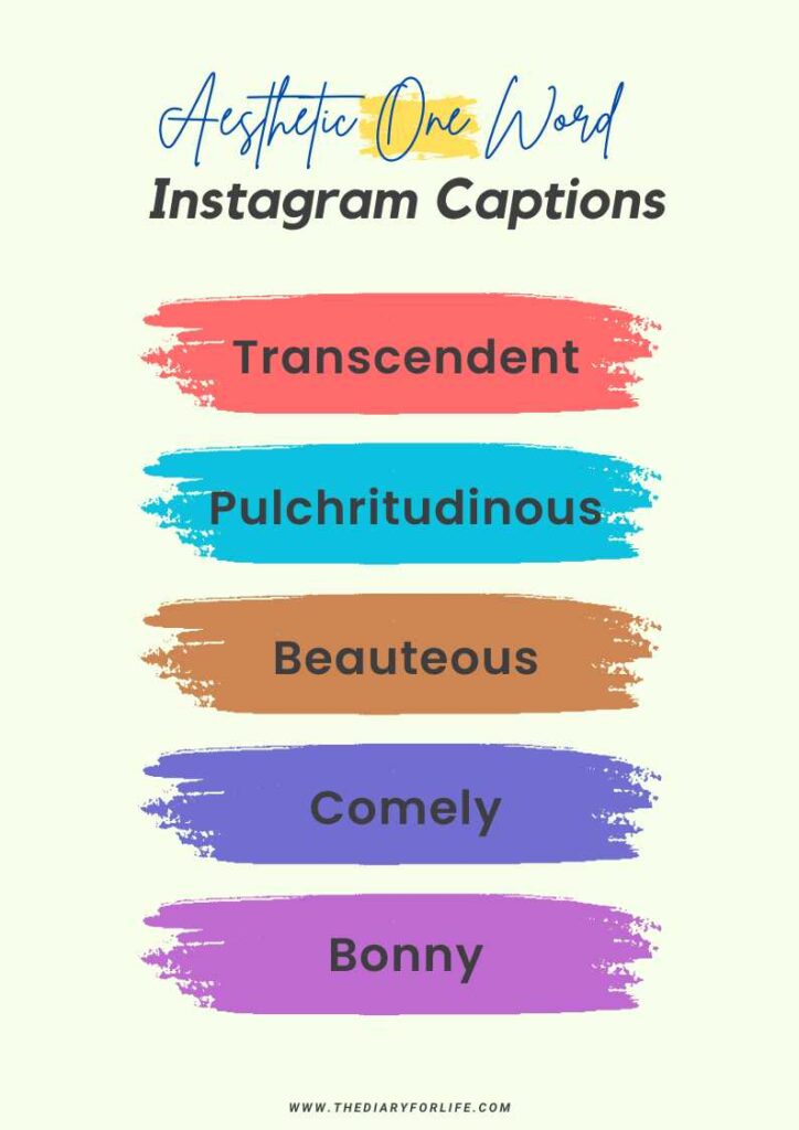 100+ Aesthetic One Word Instagram Captions - ThediaryforLife