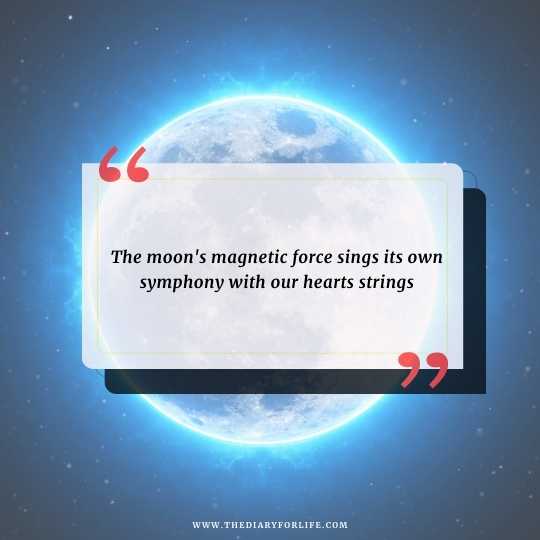 Quotes about the moon and the stars