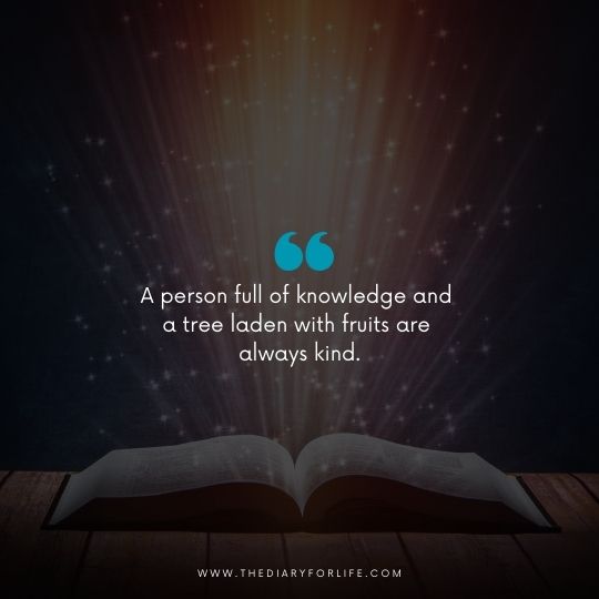 quotes about the power of knowledge